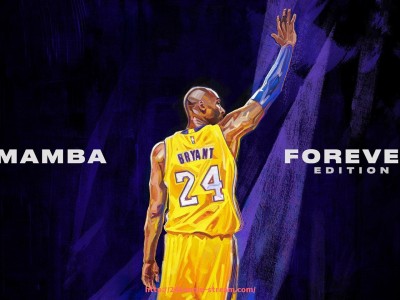 24看球直播网-胜负率统计：各队在世俱杯上的胜率与排名分析