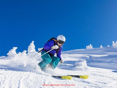 24看球直播网-火箭队2011年球队名单及球员资料