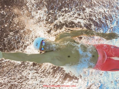 24看球直播网-世俱杯老年球迷群体参与案例分析及活动适配策略